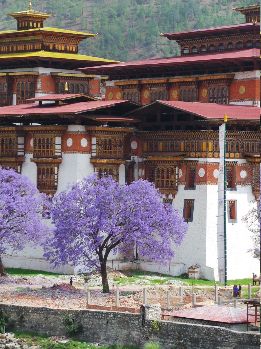 Punakha Dzong08